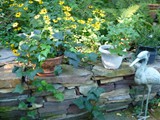 Stone Stack Wall